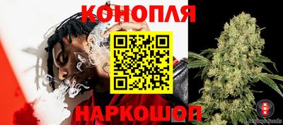 альфа пвп Краснодар
