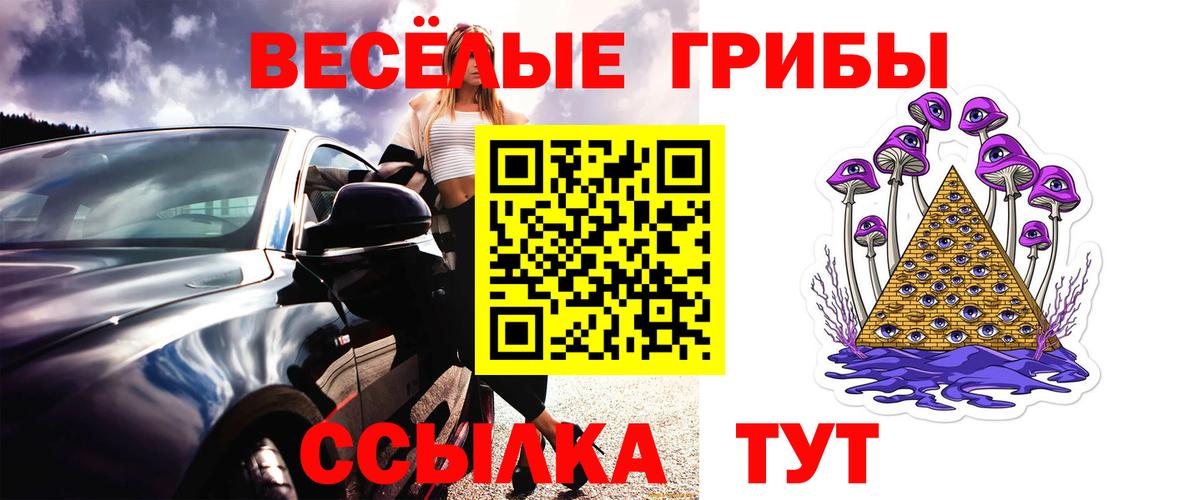 Калуга  Псилоцибиновые грибы Magic Shrooms  Вход с VPN  Псилоцибиновые грибы Cubensis 