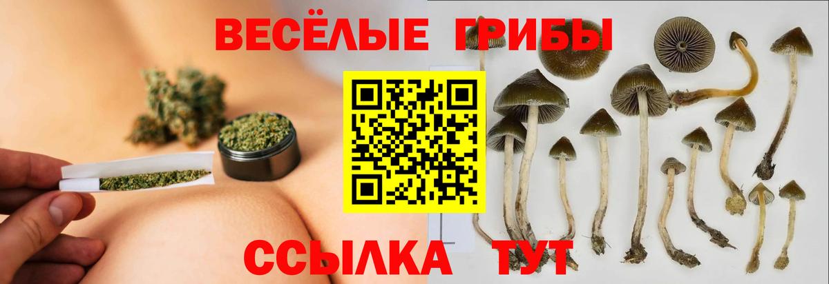 Галлюциногенные грибы MAGIC MUSHROOMS Калуга